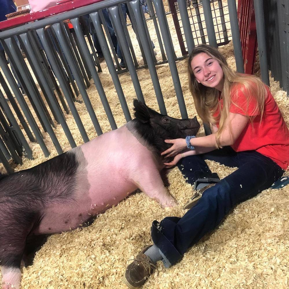 Meet your Posher, Sissy